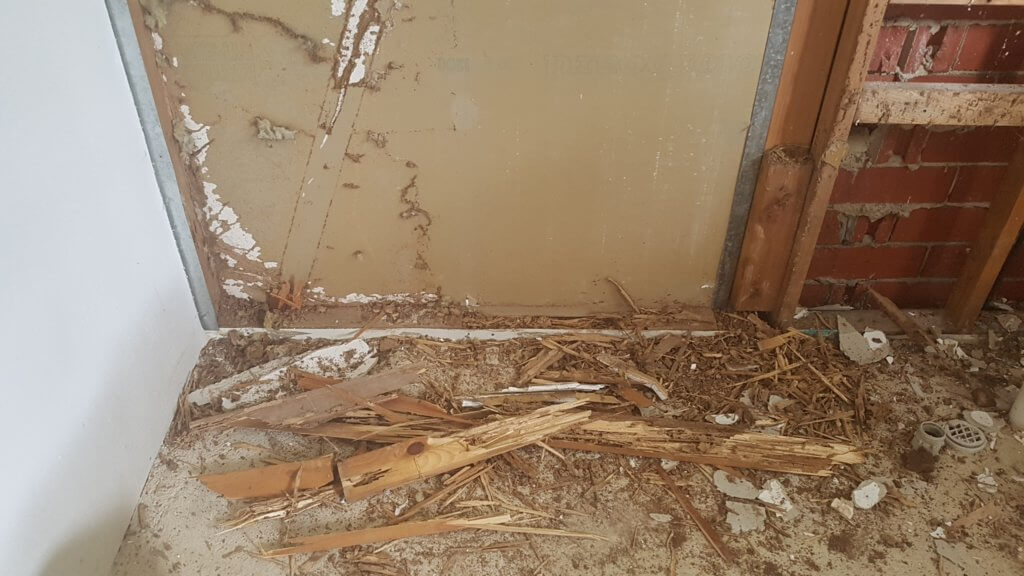 Termite Inspections Adelaide